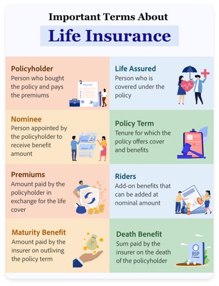 What are the common terms of life insurance?