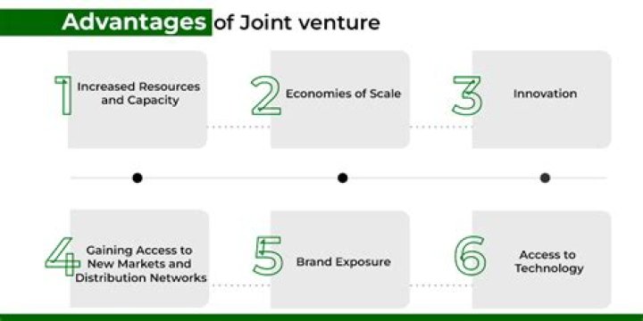 What are the disadvantages and advantages of joint ventures?