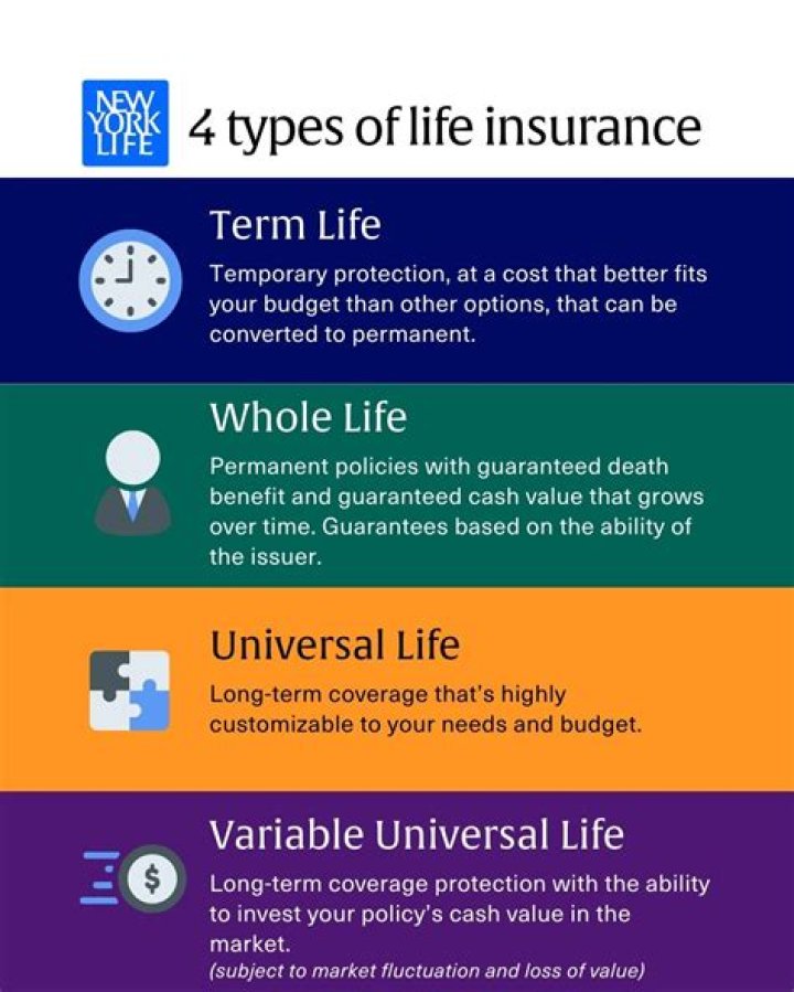 What are the four types of permanent or cash value insurance?