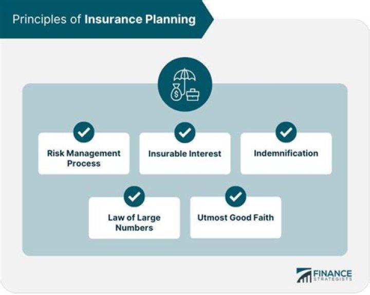 What are the primary components of an insurance policy?