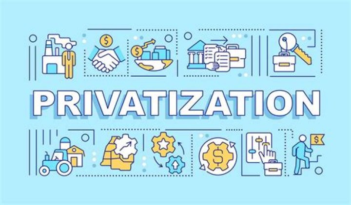 What are the reasons for privatization?