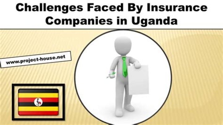 What are the risks faced by insurance companies?