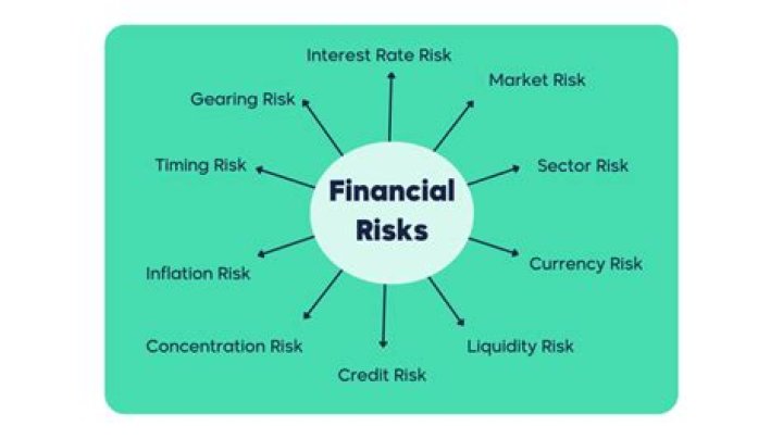 What are the risks of an investor?