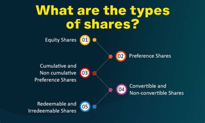 What are the types of shares you could invest in?