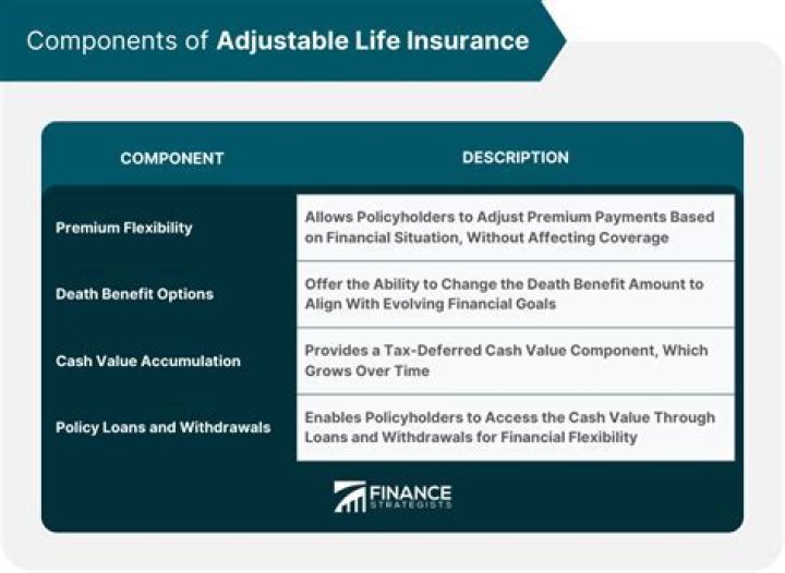 What can be changed in an adjustable life insurance policy?