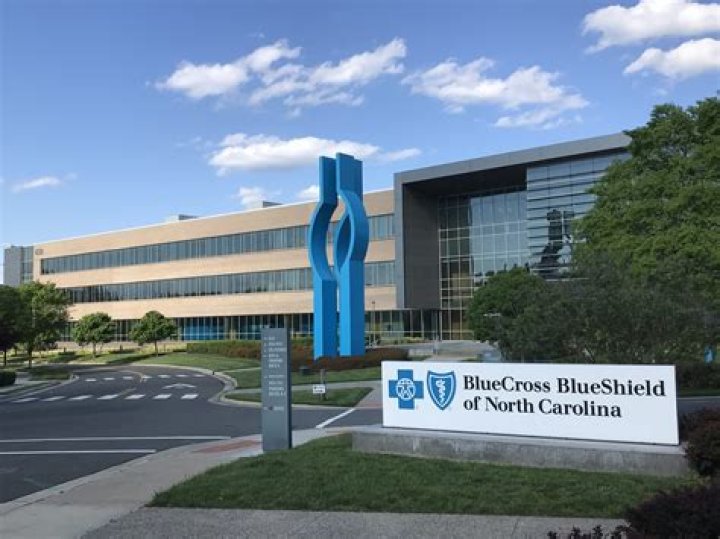 What companies does Blue Cross Blue Shield own?