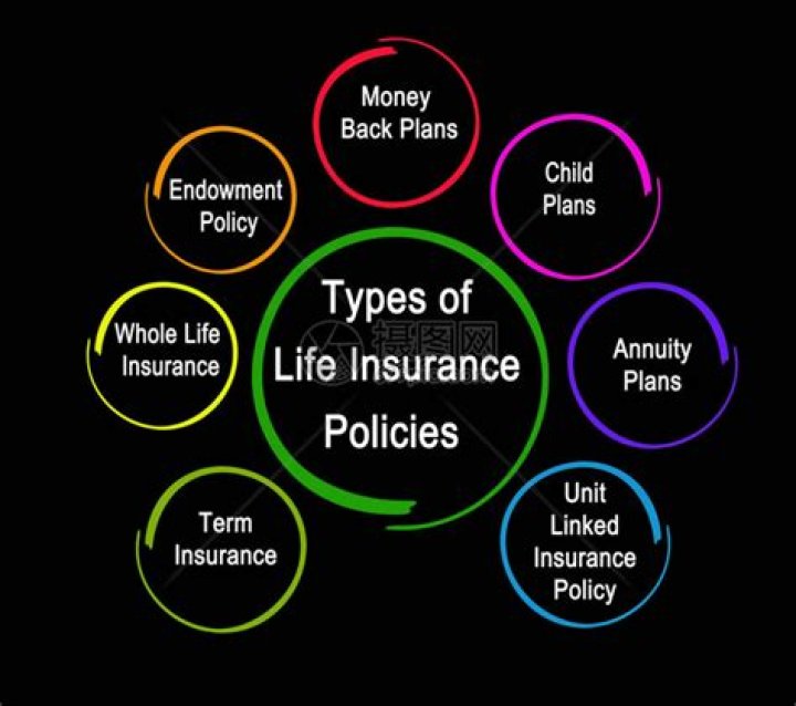 What costs are associated with life insurance?