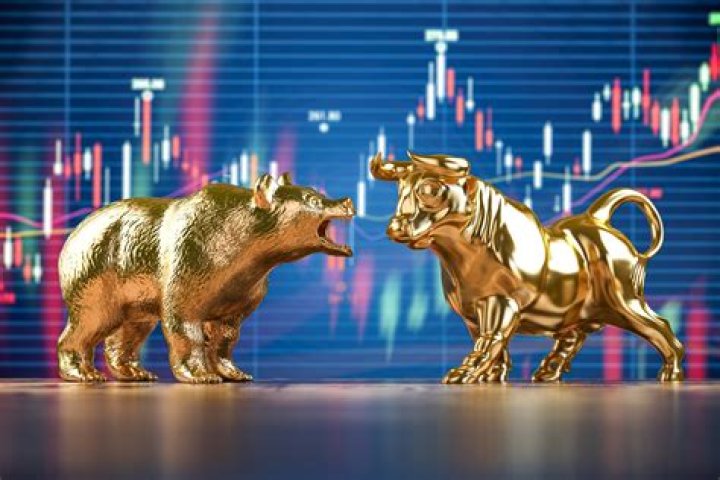 What do bulls and bears have to do with the stock market?