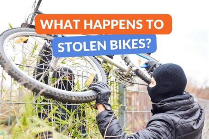 What do thieves do with stolen vehicles?