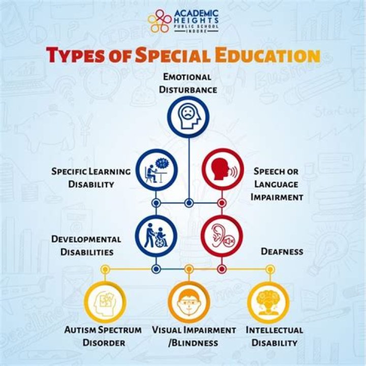 What does a special rapporteur do?