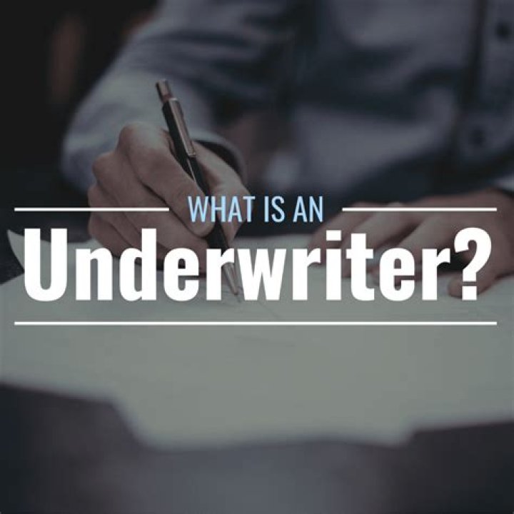 What does an underwriter do for a title company?