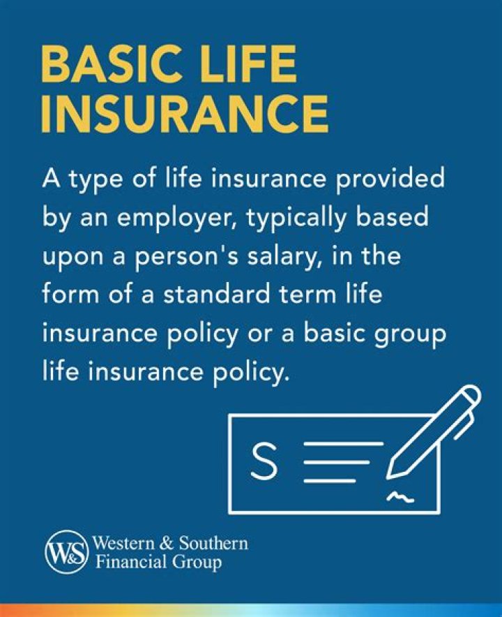 What does basic life insurance typically cover?