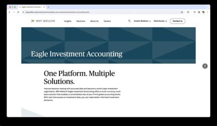 What does Eagle Investment Systems do?