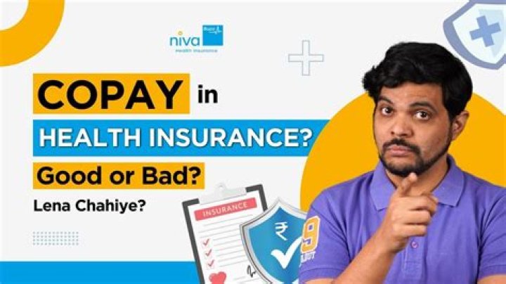 What does insurance co-pay mean?