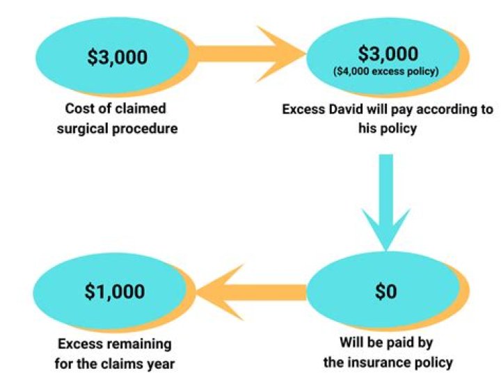 What does it mean policy excess?