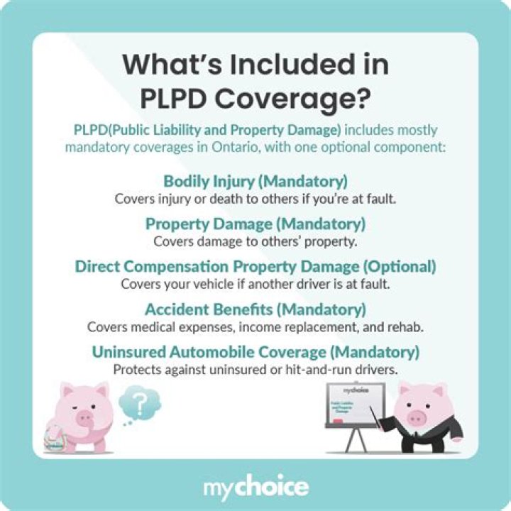 What does PLPD cover in Michigan?