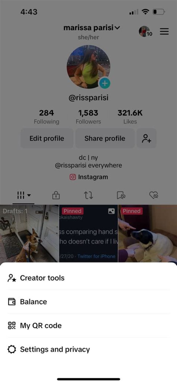 What does share holder means?