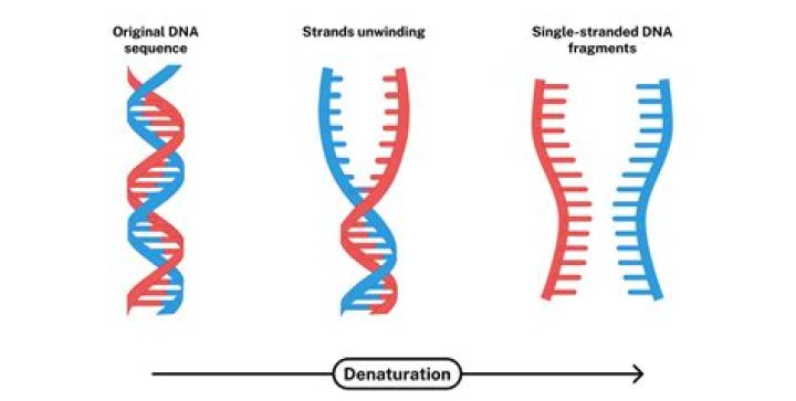 What does single trip mean?