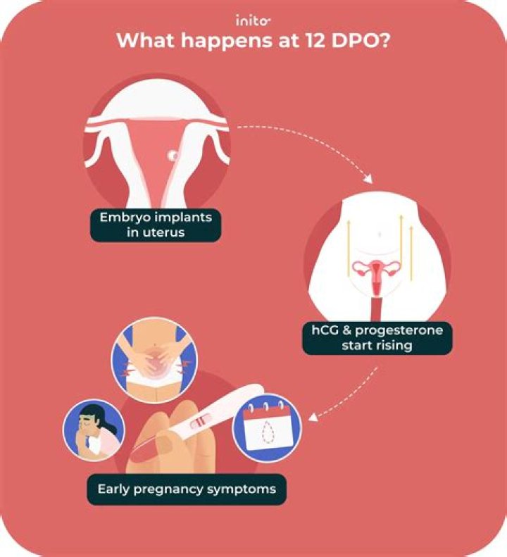 What does total Cigna Dppo mean?