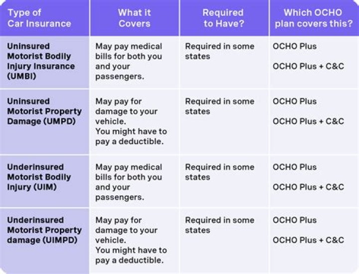 What does uninsured motorist insurance cover in Florida?