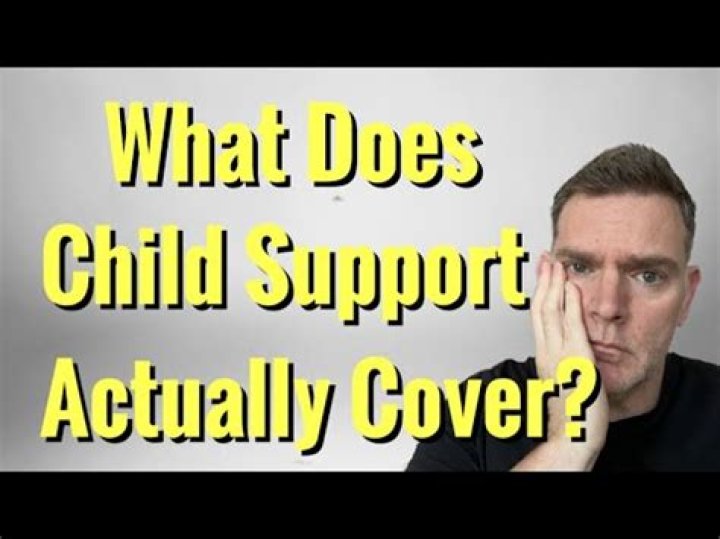 What expenses are included in child support?