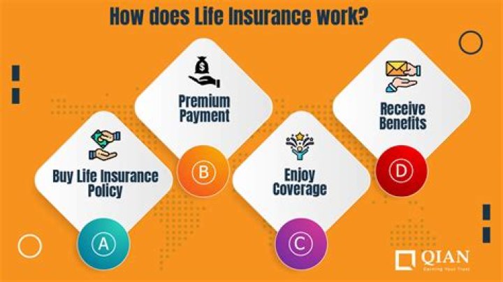 What factors does life insurance look at?