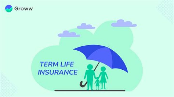 What happens if term life insurance lapses?