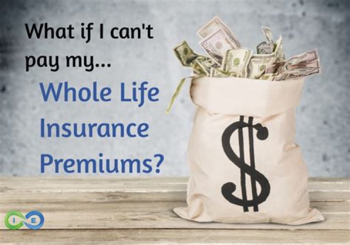 What happens if you stop paying whole life insurance premiums?