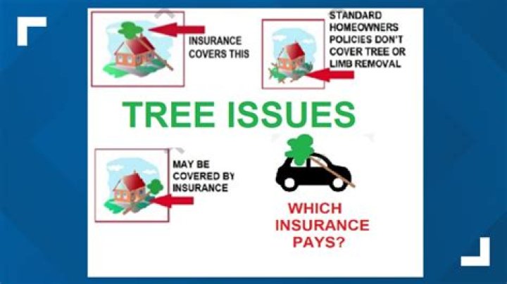 What insurance pays for damage if you were at fault?