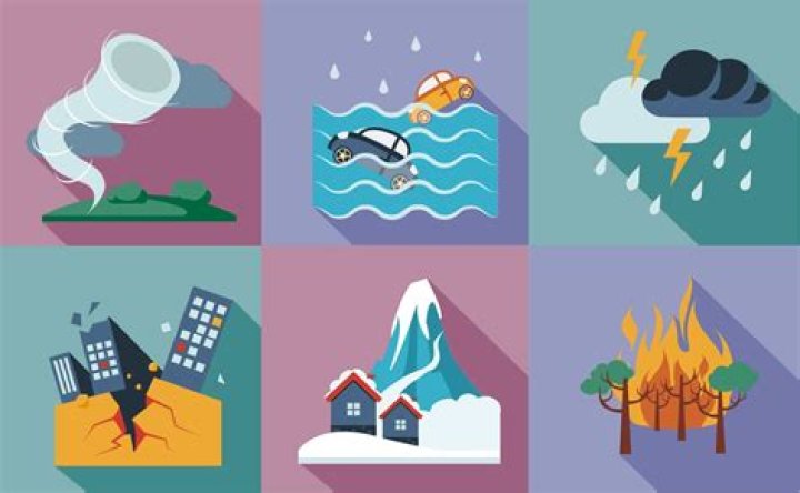What insurance protects you from natural disasters?