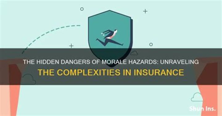What is a morale hazard in insurance?