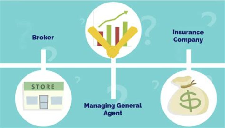 What is a reinsurer broker?