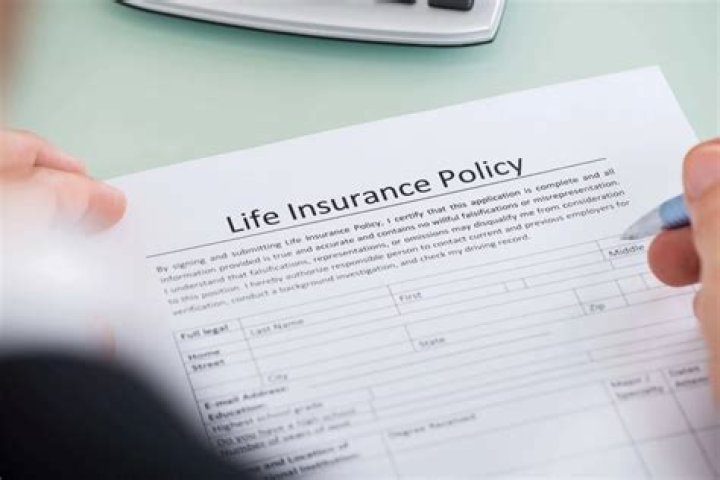 What is an example of liquidity in a life insurance contract?