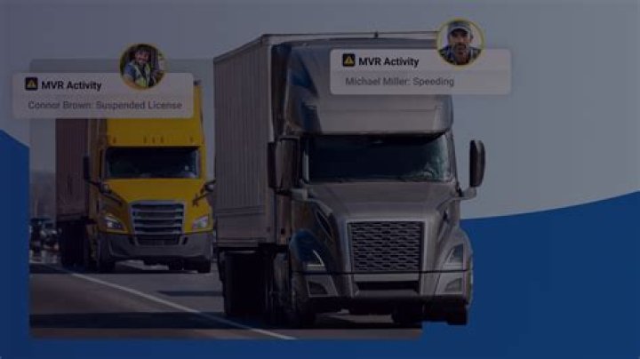 What is an MVR in insurance?