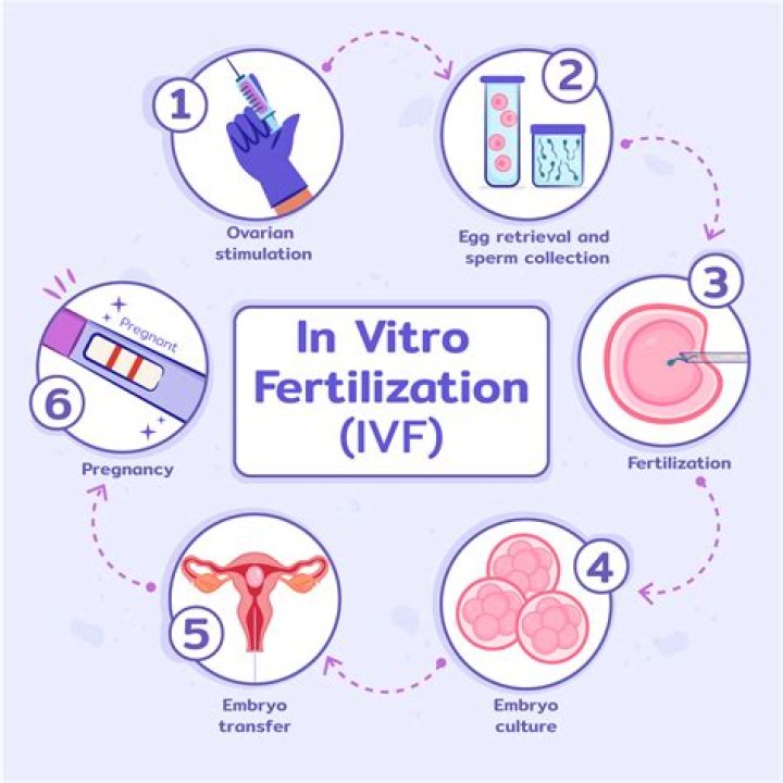 What is cheaper IVF or tubal reversal?