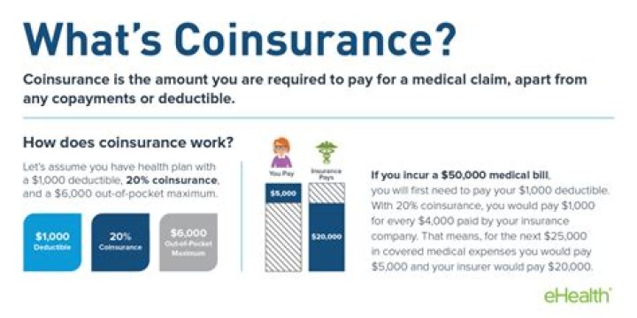 What is coinsurance 20%?