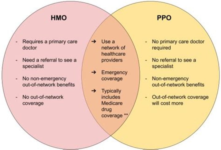 What is difference between PPO and HMO?