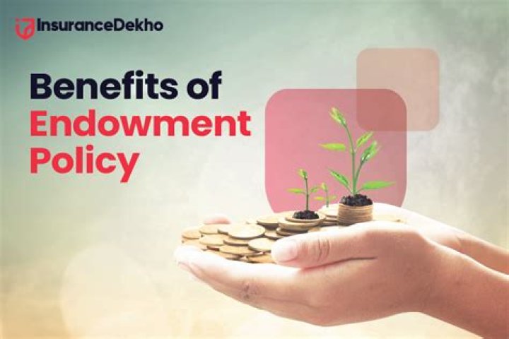 What is endowment policy example?