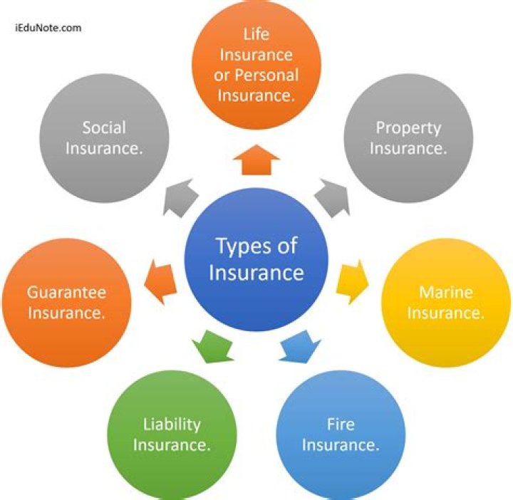 What is insurance explain the types of insurance?