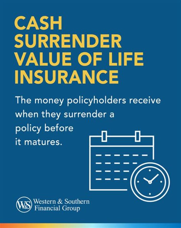 What is life insurance with cash surrender or loan value?