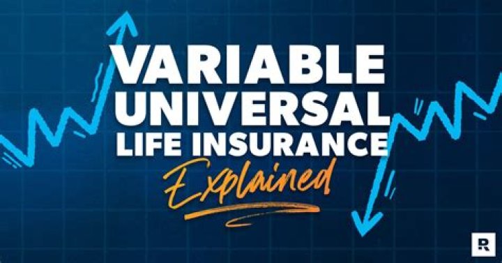 What is meant by variable universal life insurance?