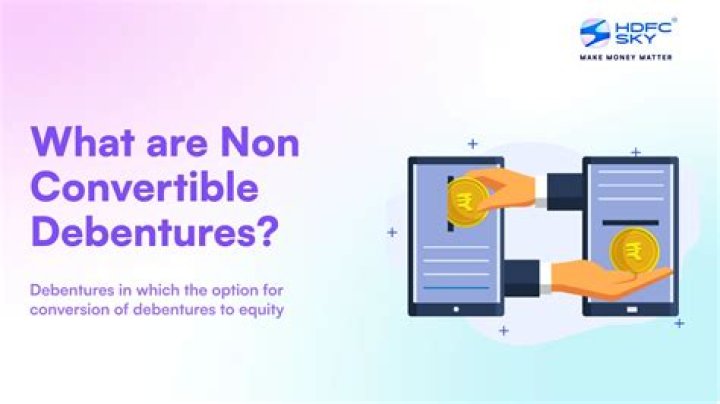What is non convertible debentures?