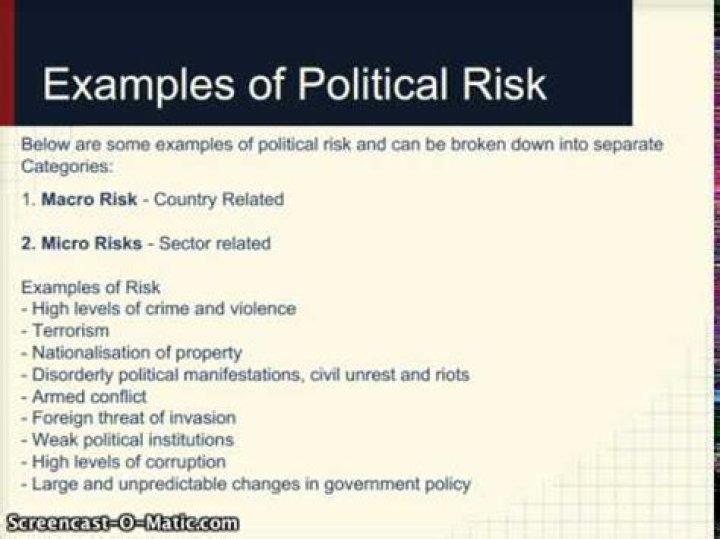 What is political risk and examples?