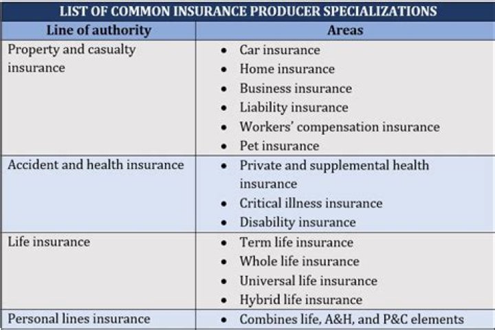 What is the difference between a life insurance company and a property and casualty insurance company?