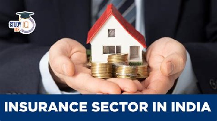 What is the future of insurance sector in India?