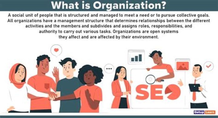 What is the importance of an organization?