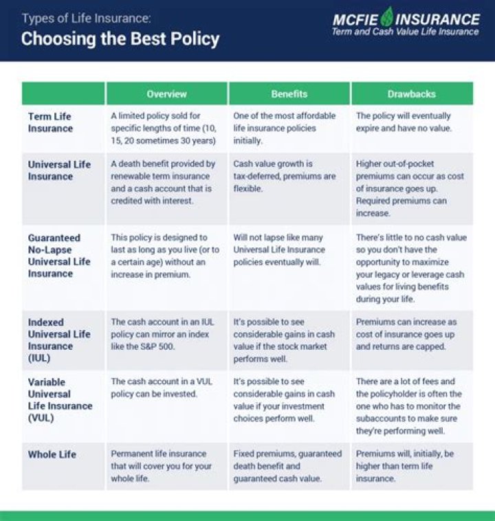 What is the loan provision in life insurance policies?