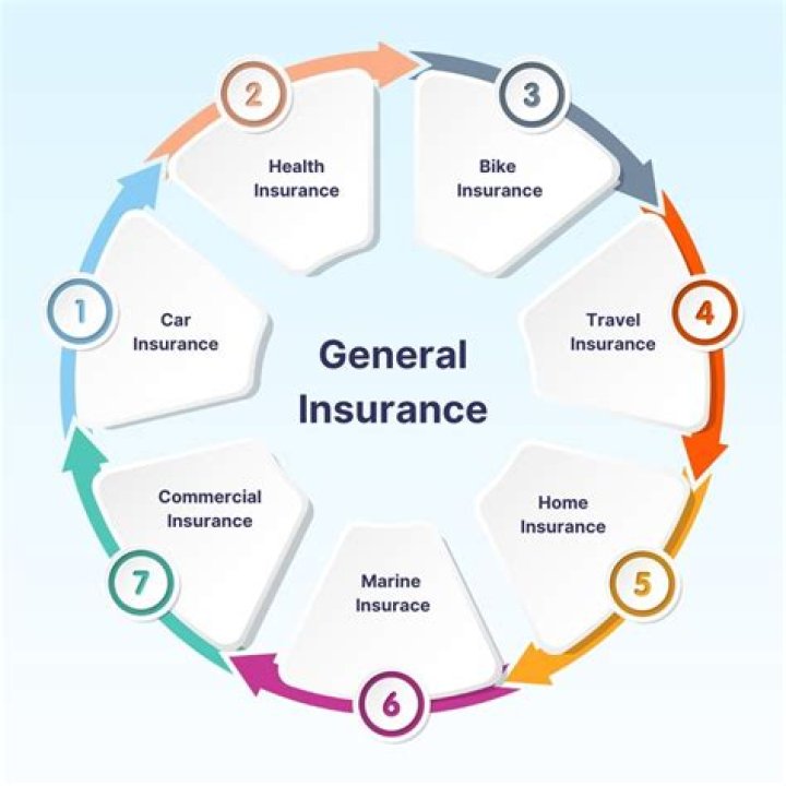 What is the main focus of general insurance?