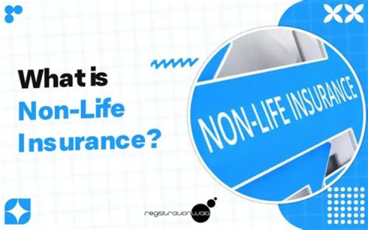 What is the meaning of non-life insurance?
