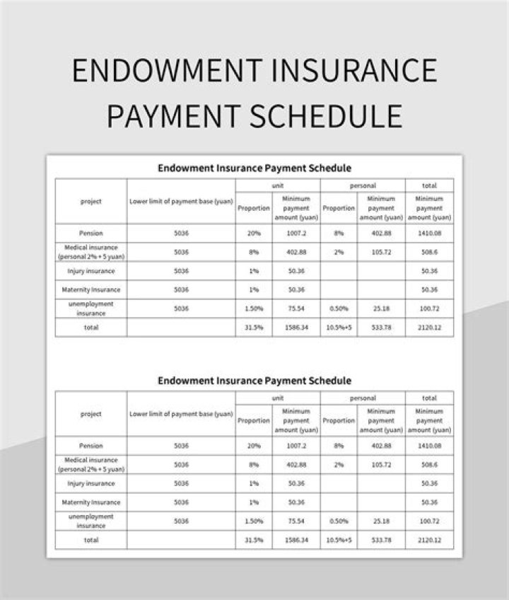 What is the monthly payment on an insurance policy called?